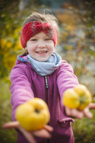 Apfelprojekt im Herbst.