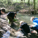 Waldprojekttage in Lobeda_Turboschnecken auf der Suche nach Wassertieren