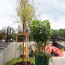 Vier verschiedene Stammgruppenbäumchen stehen seit September 2015 auf der Hof der Grundschule im Paradies.