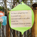 Zum Bäumchenfest haben die Achate ihren Baum geschmückt.
