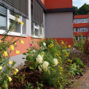 Flowers on the school yard of the SteinMalEins primary school.