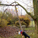 BiLLY_Gartenprojekt_ entspannt aushängen im Schwabenhaus _11_2017