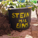 Schulhofprojektwochen der SteinMalEins im Paradies