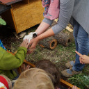 Beim Einzug dürften alle Kinder die Meerschweinchen (vorsichtig) streicheln.