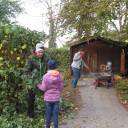 Garteneinsatz Schwabenhaus Oktober 2018 I