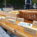 Mitbringpicknick zum Tag der Vielfalt in Winzerla