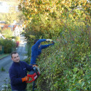 an der Hecke