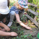 Wald 2018 10