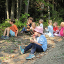 Wald 2018 13