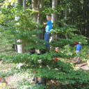 Wald 2018 14